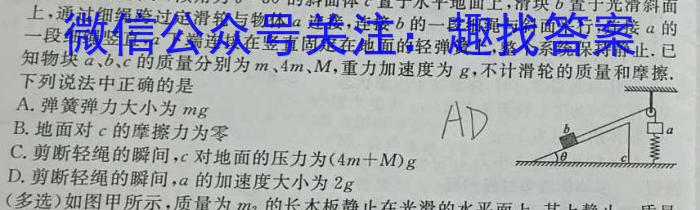 ［安徽中考］2024年安徽省初中学业水平考试物理试题答案