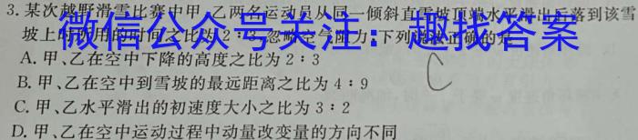 2023-2024学年湖北省高二考试4月联考(24-398B)h物理