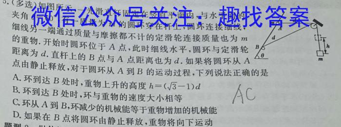 “皖韵风华·智慧挑战”九年级安徽省联盟考试物理试卷答案