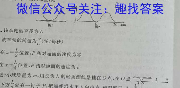 2024年春季鄂东南省级示范高中教育教学改革联盟学校高三期中联考物理试卷答案