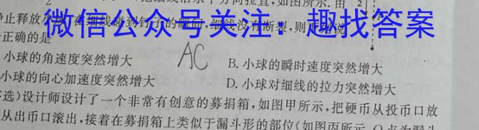 桂柳文化·2024届高三桂柳鸿图信息冲刺金卷(二)物理试卷答案