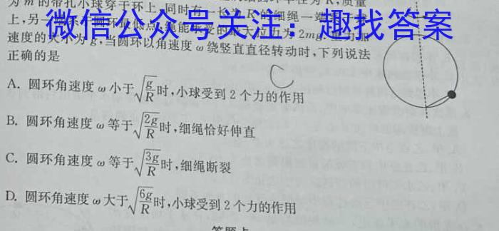 河北省邢台市2023-2024学年下学期高三年级考试(2024.4)物理试卷答案