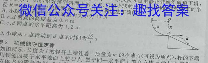 2024-2025学年度武汉市部分学校高三年级9月调研考试物理试题答案