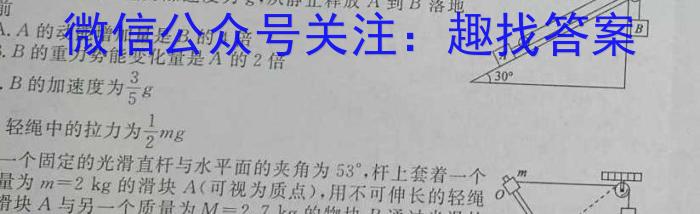 九师联盟 2024届高三押题信息卷(三)新高考物理试卷答案