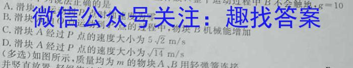 江西省2024年初中学业水平考试适应性试卷试题卷(一)1物理试卷答案