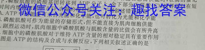 湖北省2024年春"荆、荆、襄、宜四地七校考试联盟"高一期中联考生物学试题答案