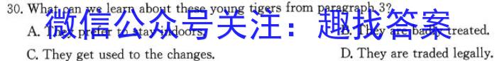 2024年全国高考临门一卷(一)英语