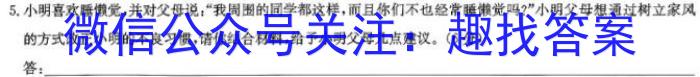 2024届名校之约中考导向总复习模拟样卷 二轮(二)语文