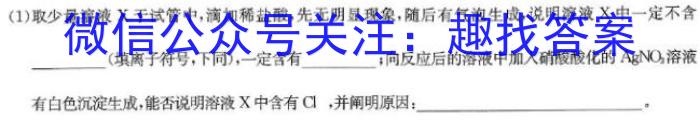 江西省2024年初中学业水平考试适应性试卷试题卷(四)4化学