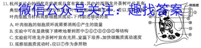 青岛/枣庄2024年高三第二次适应性检测(2024.05)生物