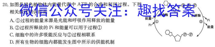 2024届北京专家卷·押题卷(二)2生物学试题答案