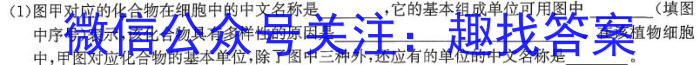 ［九龙坡二诊］重庆市九龙坡区2024届高三年级第二次诊断性考试生物学试题答案