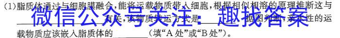 陕西省2023-2024学年八年级期末教学素养测评（八）8LR生物学试题答案