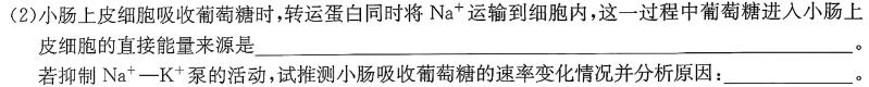 巴蜀中学2024届高考适应性月考卷（九）生物