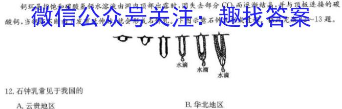 青岛市2023-2024学年度第二学期期末考试（高二年级）&政治