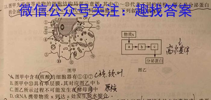 河北省2024届高三年级大数据应用调研联合测评七(Ⅶ)生物