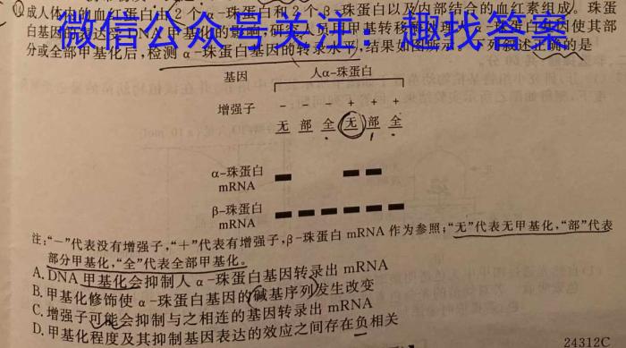 安徽六校教育研究会2025届高三新生入学素质测试生物学试题答案