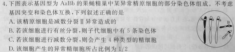 2024年陕西省初中学业水平考试·名师导向模拟卷（一）A生物