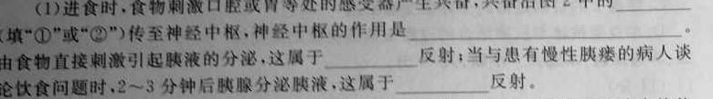 [新乡三模]河南省新乡市2023-2024学年高三第三次模拟考试(24-428C)生物