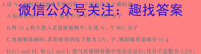 陕西省渭南高新区2024年初中学业水平模拟考试(三)3化学