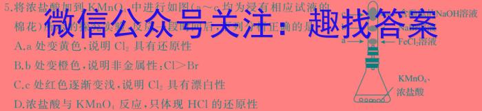 【精品】学科网2024届高三4月大联考化学