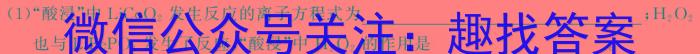 陕西省2024届九年级阶段调研检测A化学