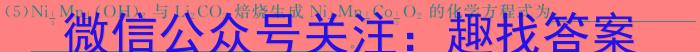 河北省2024年九年级4月模拟(二)化学