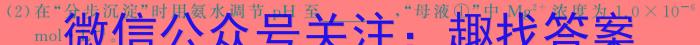 2024年河北省初中毕业生升学文化课模拟测评（六）化学