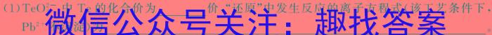 3安徽省2023-2024同步达标自主练习七年级第五次化学试题