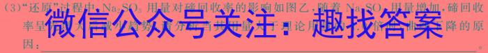 22024年陕西省初中学业水平适应性联考(三)化学