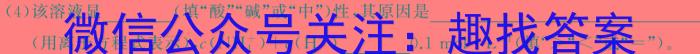 【精品】木牍中考·考前读卷2024年安徽中考抢分金卷三·诊断化学