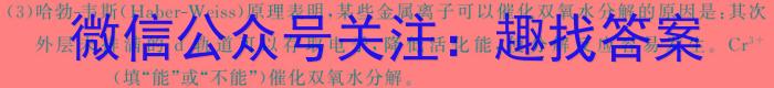 河北省2023-2024学年九年级寒假学情评价化学