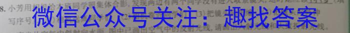 山西省2024年中考总复习预测模拟卷（六）f物理