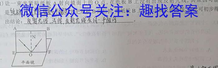 河南省新野县2024年春期期中质量调研七年级试卷物理试题答案