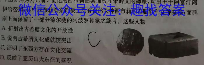 湖北省联考协作体 2024年普通高等学校招生全国统一考试模拟试题(三)3&政治