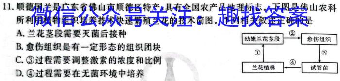 湖北省2024年春"荆、荆、襄、宜四地七校考试联盟"高一期中联考生物学试题答案