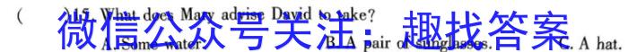 2024届中考导航总复习·模拟·冲刺·三轮冲刺卷(二)2英语