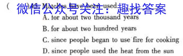 2024届陕西省九年级调考模拟检测卷(24-CZ221c)英语