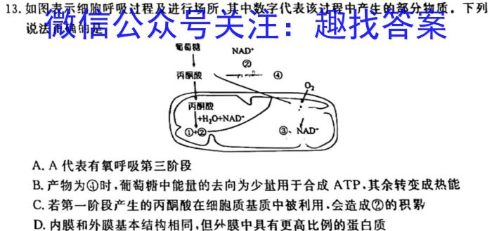 河南省2023-2024学年度八年级综合素养评估（七）【PGZX C HEN】生物学试题答案