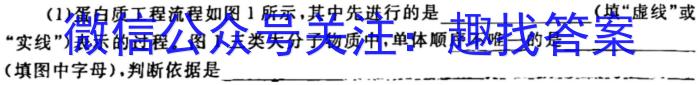 天域安徽大联考2024届高三第二次素养测试生物学试题答案