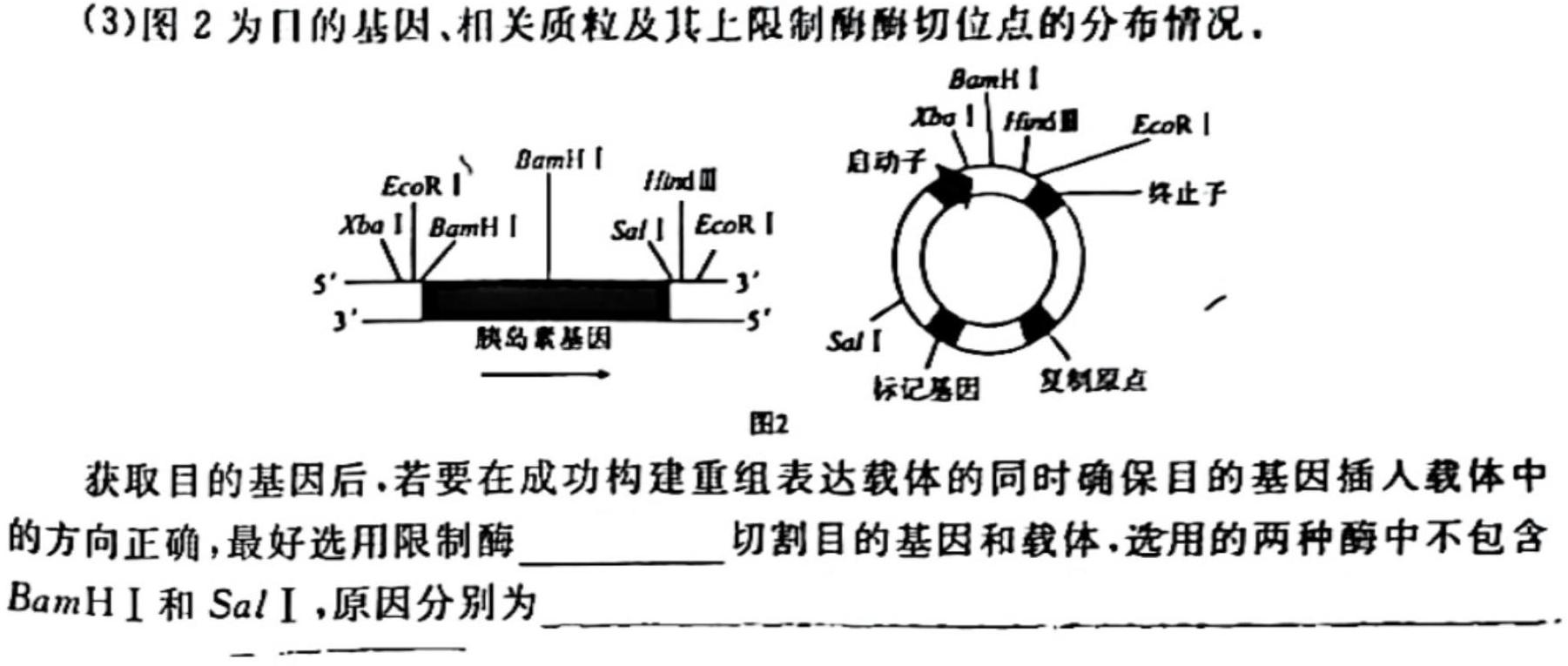 耀正文化 2024届名校名师模拟卷(八)8生物学部分