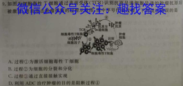 河南省顶级名校联盟2024届高三4月第三次模拟考试生物