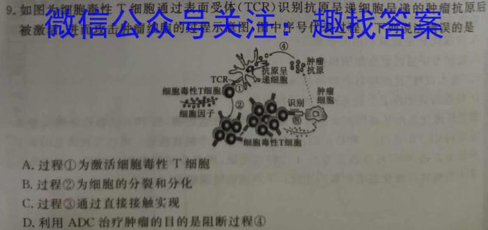 2024届石室金匮高考专家联测卷(四)生物学试题答案