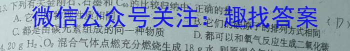 3贵州省织金县2023-2024学年度第一学期九年级学业水平检测试卷（3月）化学试题