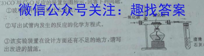 3陕西省2024年凤翔区初中学业水平第一次模考卷化学试题