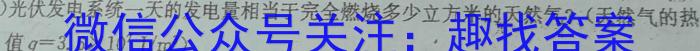 中考必刷卷·2024-2025学年安徽省九年级上学期开学摸底调研物理试题答案