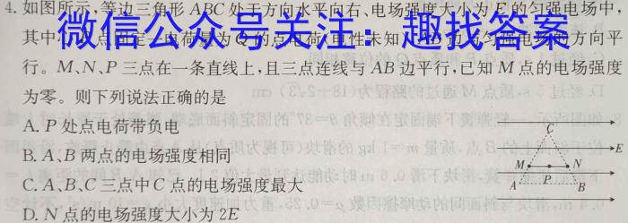 [山西三模](无标题)思而行·山西省2024年省际名校联考三(押题卷)物理试卷答案