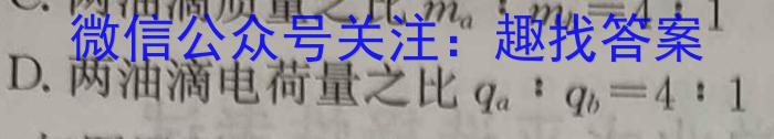 2024届江西省高三5月联考(515C)物理试题答案