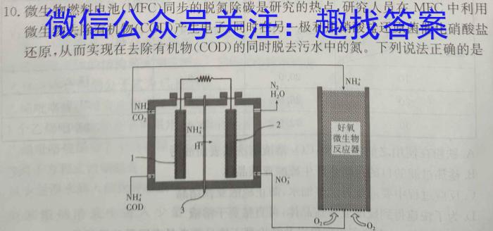 q2023-2024学年度湘楚名校高二下学期3月联考(9151B)化学