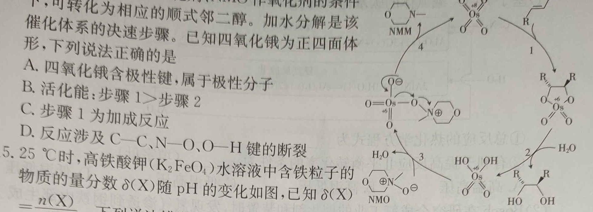【热荐】吉林省2024年名校调研系列卷·九年级综合测试（六）化学
